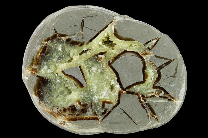 Polished Septarian Nodule Half - Utah #169403